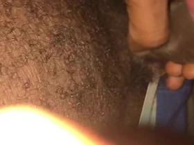Jamaican Black Cock