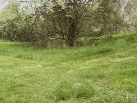 Jockstrap Park Tease: Muscular Asian Hunk Flexes, Fucks the Grass & Explodes in Cum