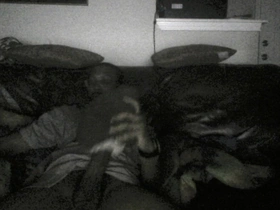 BBC Anal and Pussy Sex Toy