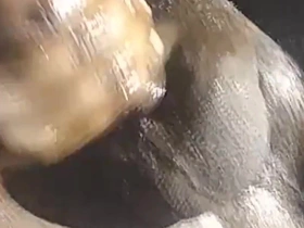 Home Alone Wanking My Big Cock Cumming Hard