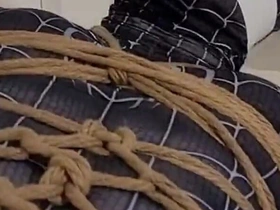 Spider-man Has Been Captured