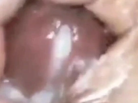 A Moment of Cumming