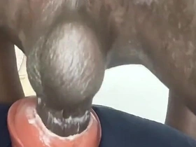 Alpha Male Sex Toy Fucking Part 2
