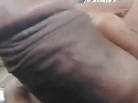 Seal Breaking Strong Land